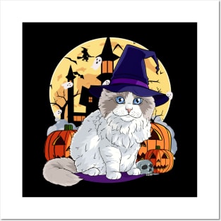 Ragdoll Cat Funny Halloween Witch Pumpkin Posters and Art